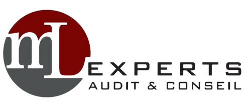 ML Experts - Audit & Conseil