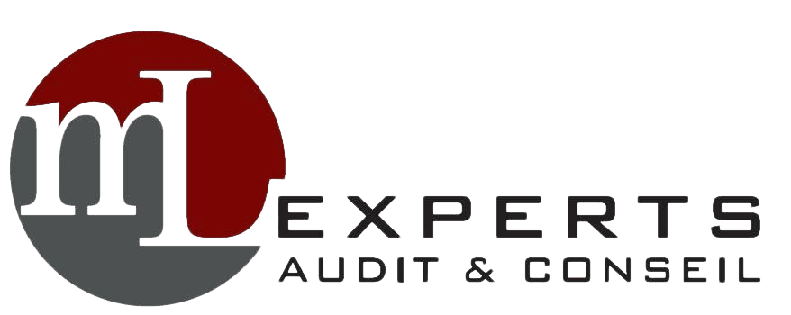ML Experts – Audit & Conseil